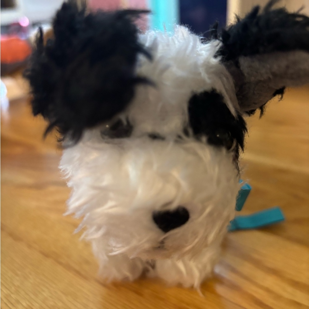 American girl: Melody’s dog Bo